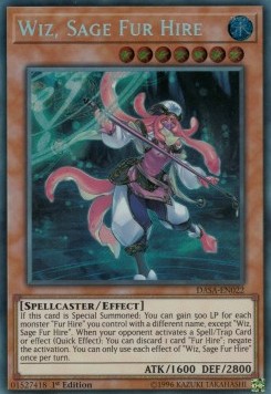 Wiz, Sage Fur Hire