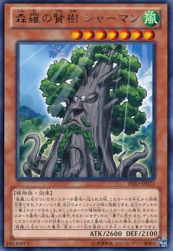Sylvan Sagequoia