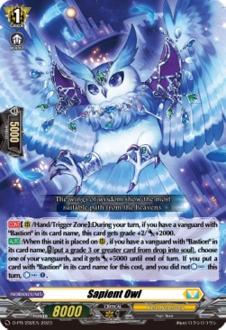 Sapient Owl [D-Format] (V.1 - Promo)